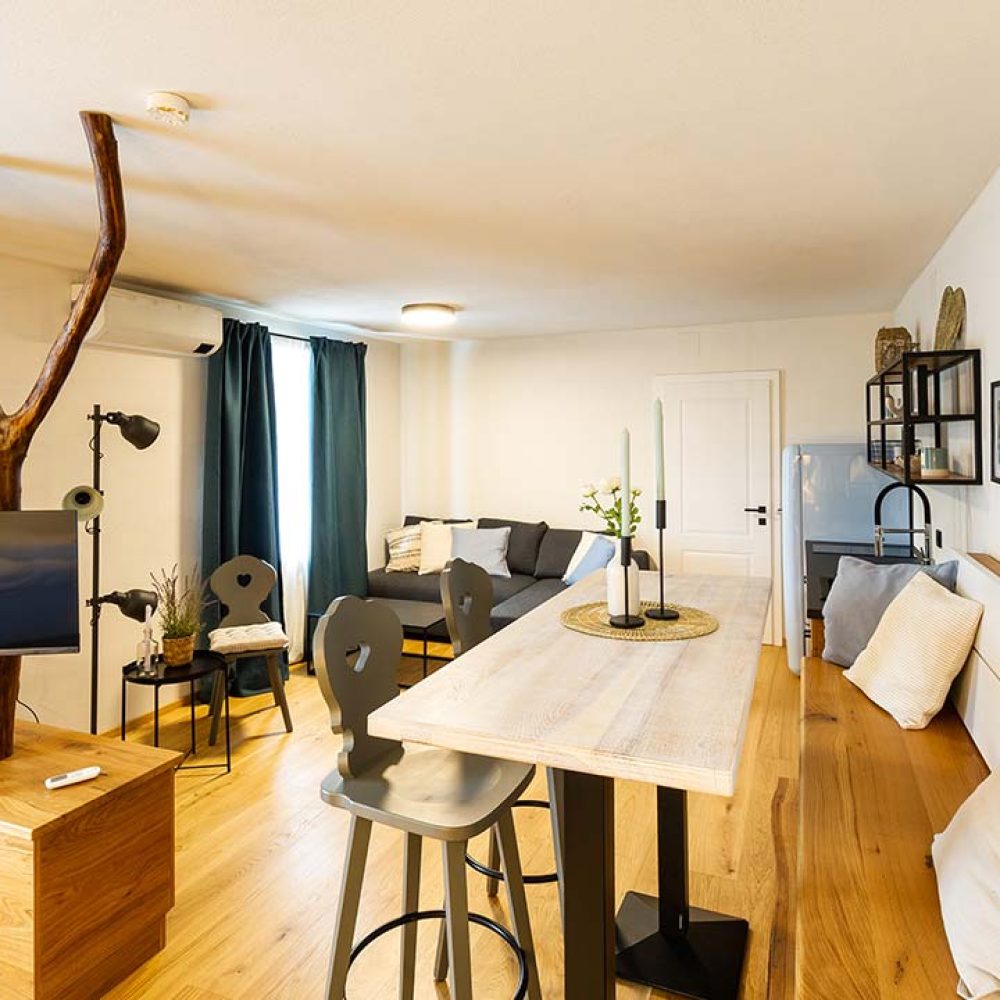mi-vida-winzerkjüuten-apartment-gamlitz-südsteiermark-wohnbereich-küche-tv